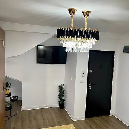 Meta Port * Timisoara