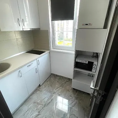 Meta Port * Timisoara