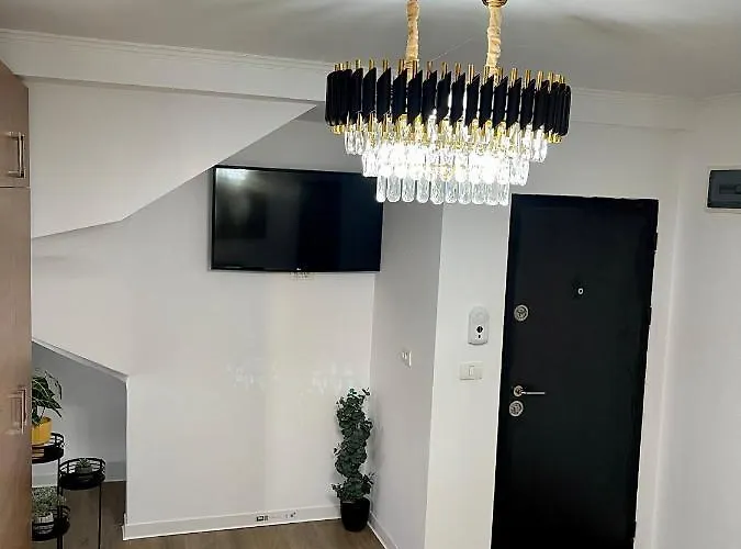 Meta Port * Timişoara