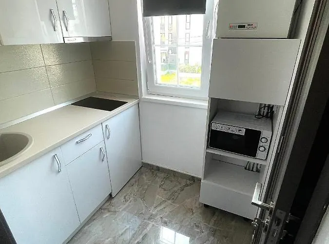 Meta Port * Timişoara